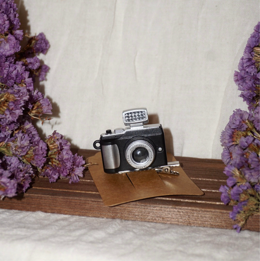 Camera Hair Clip